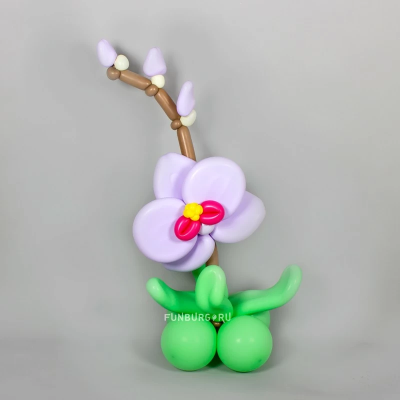 Фигура из шаров «Орхидея» с шаром с надписью