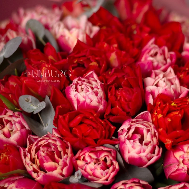 Букет пионовидных тюльпанов «Клубничный поцелуй»