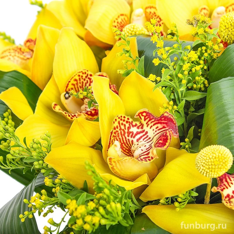 Букет орхидей «Таиланд»