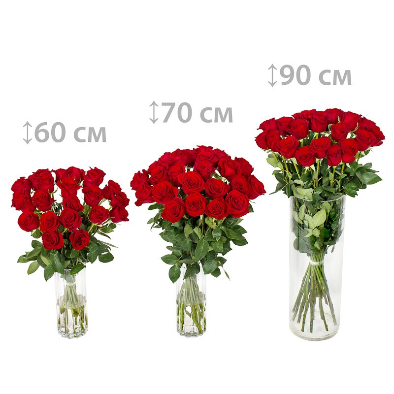 Розы (60 см)