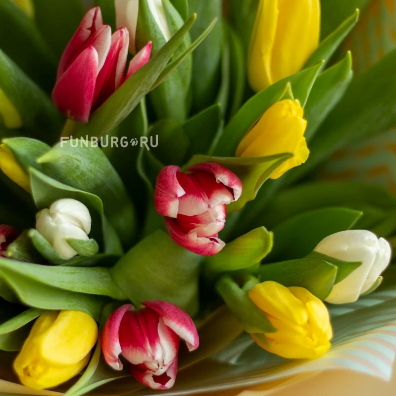 Букет тюльпанов «Весенний рассвет»