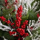 Букет «Снежная карусель»