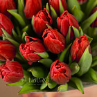 Букет красных тюльпанов M