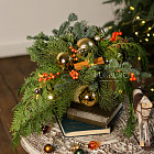 Композиция их хвои «Облепиховый пунш»