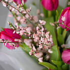 Букет тюльпанов «Мелодия весны»