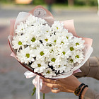 Букет хризантем «Простая красота»