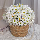 Корзина кустовых хризантем и ромашек