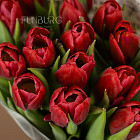 Букет красных тюльпанов S