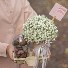 Цветы в стаканчике «Клубничный милкшейк» с клубникой в шоколаде