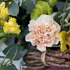 Цветы в декоративном мешке «Имбирь»