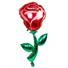 Ходящий шар «Роза»