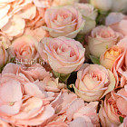 Букет «Персиковое суфле»