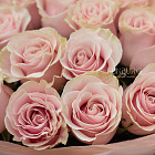 Монобукет из роз Pink Mondial M