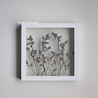 Ботаническая картина «Limonium»