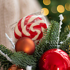 Цветы в стаканчике «Новогодний переполох»