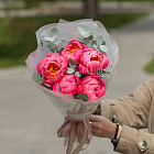 Монобукет из пионов Coral Charm XS