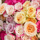 Букет из 101 кустовой розы «Малиновое суфле»