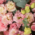 Букет из эустом «Парижанка»