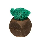 Интерьерный мох «MossBox Green»