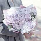 Букет гортензий «Лавандовая меренга»