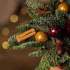 Цветы в стаканчике «Глинтвейн»