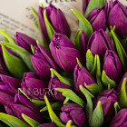 Корзина пурпурных тюльпанов «Пурпур»