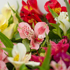 Букет альстромерий «Летние краски»