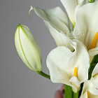 Букет невесты «Одетта»