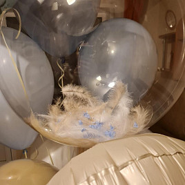 Шар Bubble с перьями «Карнавал»