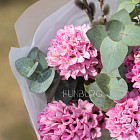 Букет из розовых гиацинтов с вербой