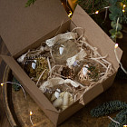 Набор ёлочных шаров с сухоцветами, 4 шт