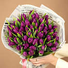 Букет пурпурных тюльпанов L