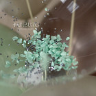 Большой стеклянный шар «Дымчатый кварц» 24″