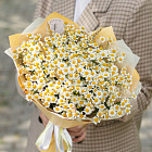 Букет из кустовых ромашек «Лето»
