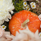 Корзина цветов «Тыквенный пирог»