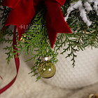 Композиция с нобилисом «Морозко»