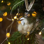 Набор ёлочных шаров с сухоцветами, 4 шт