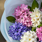 Букет из гиацинтов «Очарование весны»