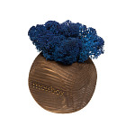 Интерьерный мох «MossBox Blue»
