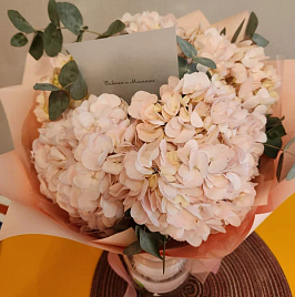 Букет розовых гортензий «В рассветном румянце»