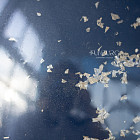 Набор: стеклянный шар и связка «Лучшему»