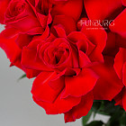 Красные розы Nina