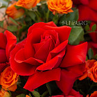 Дуобукет из роз «Пламенное чувство»