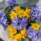 Букет из гиацинтов «Лазурный»