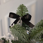 Композиция с нобилисом «Снежная ночь»