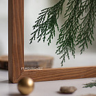 Ботаническая картина «Thuja»