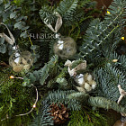 Набор ёлочных шаров с сухоцветами, 4 шт