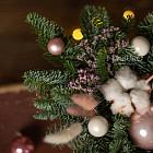 Цветы в стаканчике «Фея Драже»