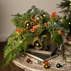 Композиция их хвои «Облепиховый пунш»