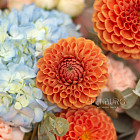 Букет «Яблоневый сад»